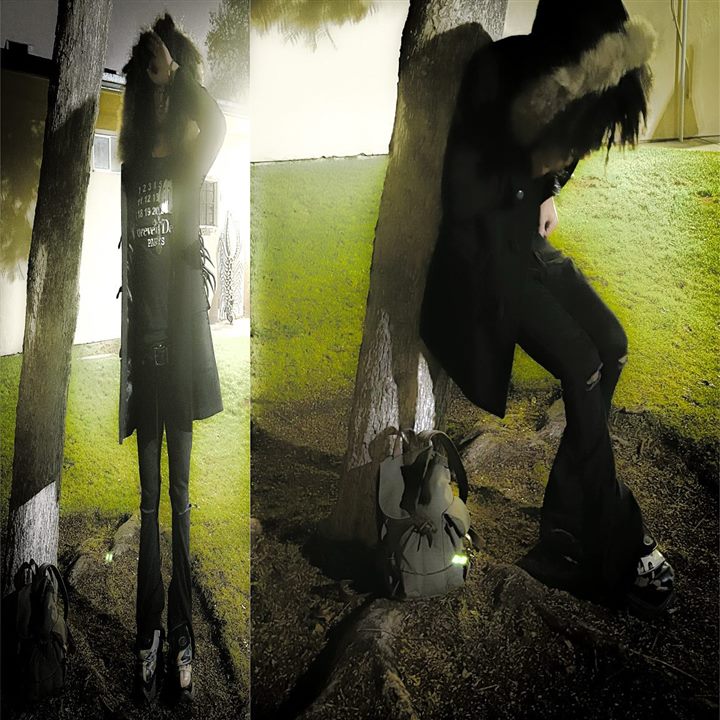 6xrpse at night by a tree, January 2025